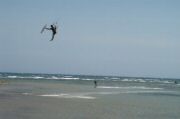Kite (Medium).JPG